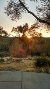 You are the Golden Dawn...